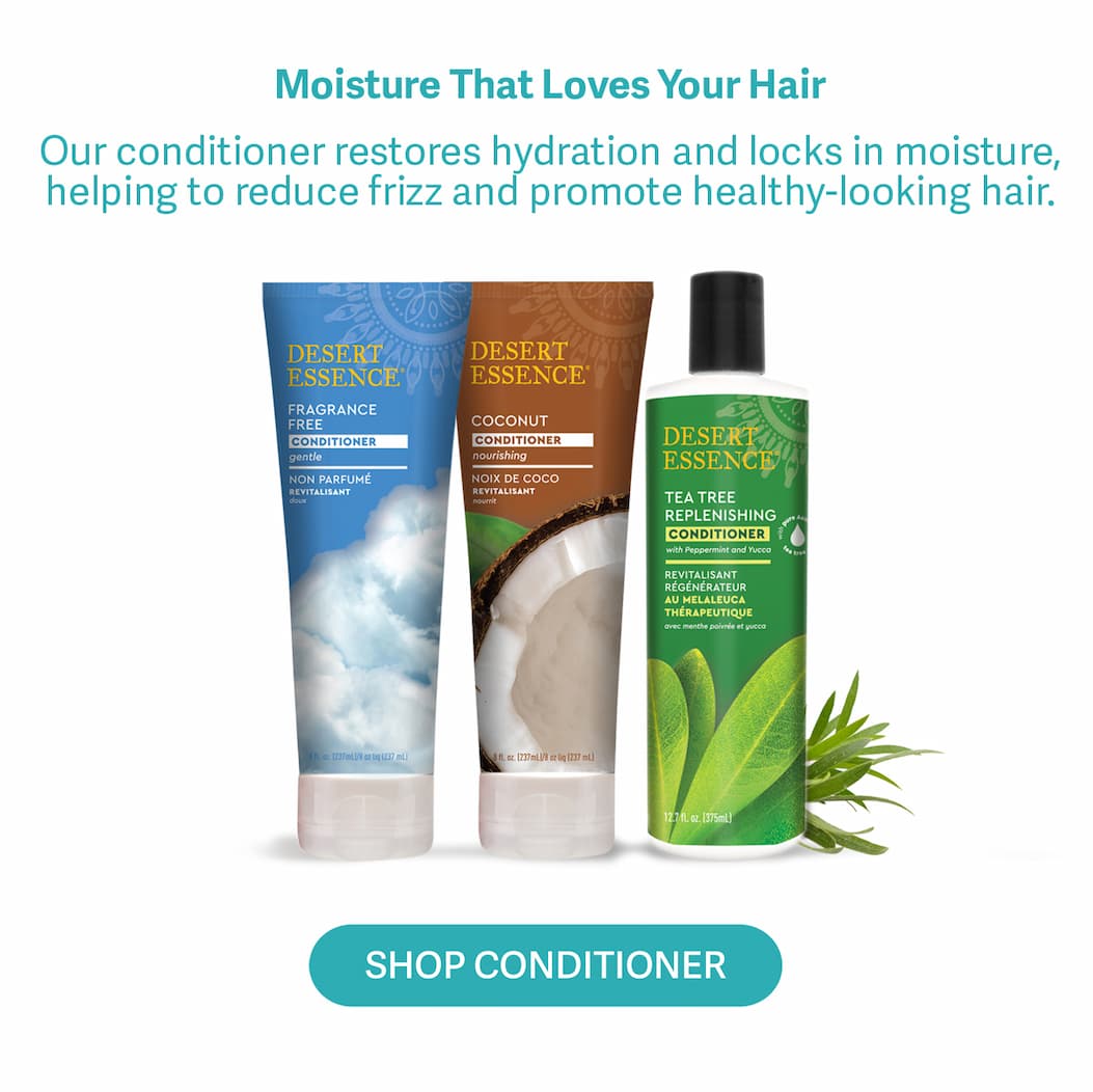 SHOP CONDITIONER