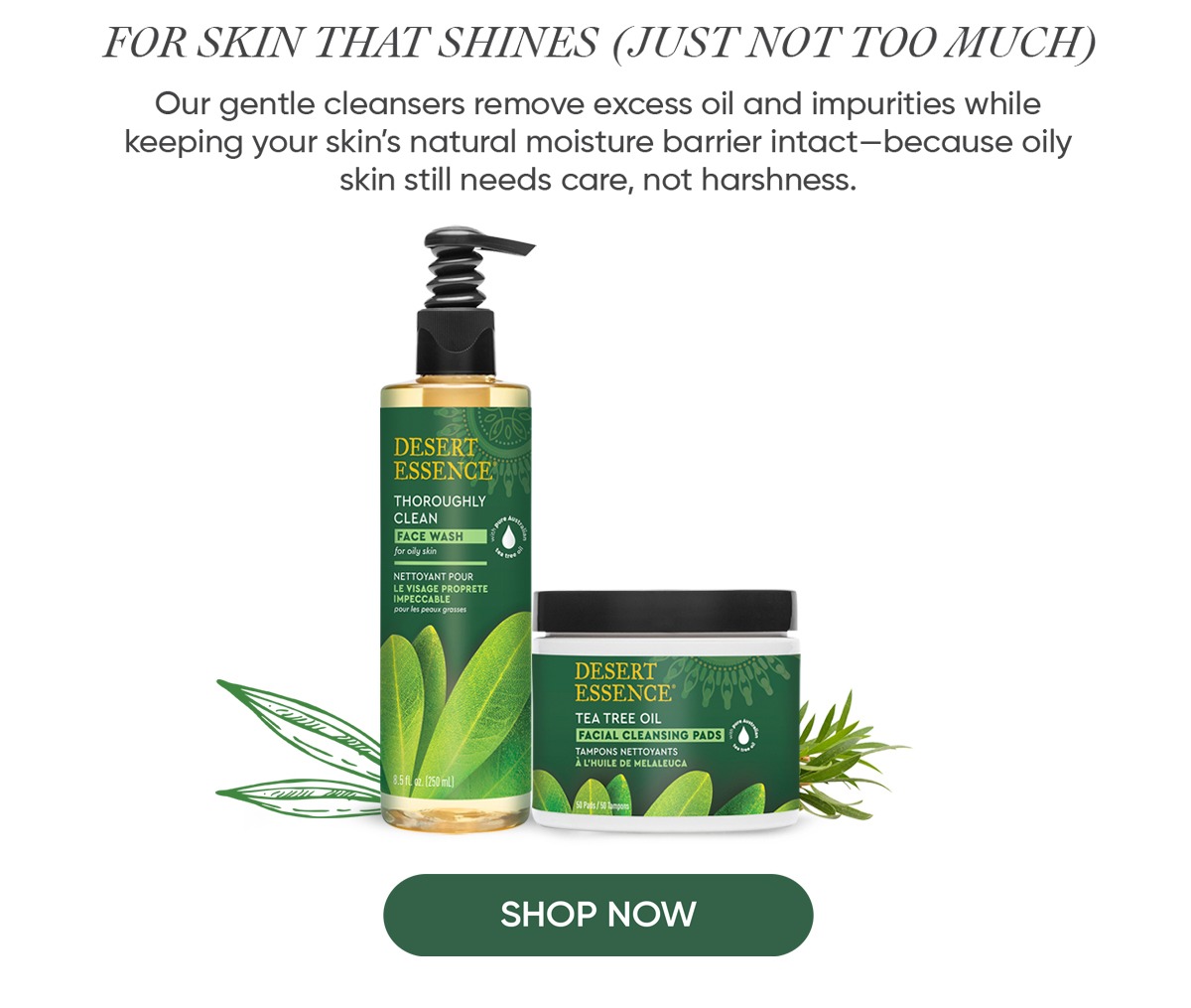 OILY SKIN