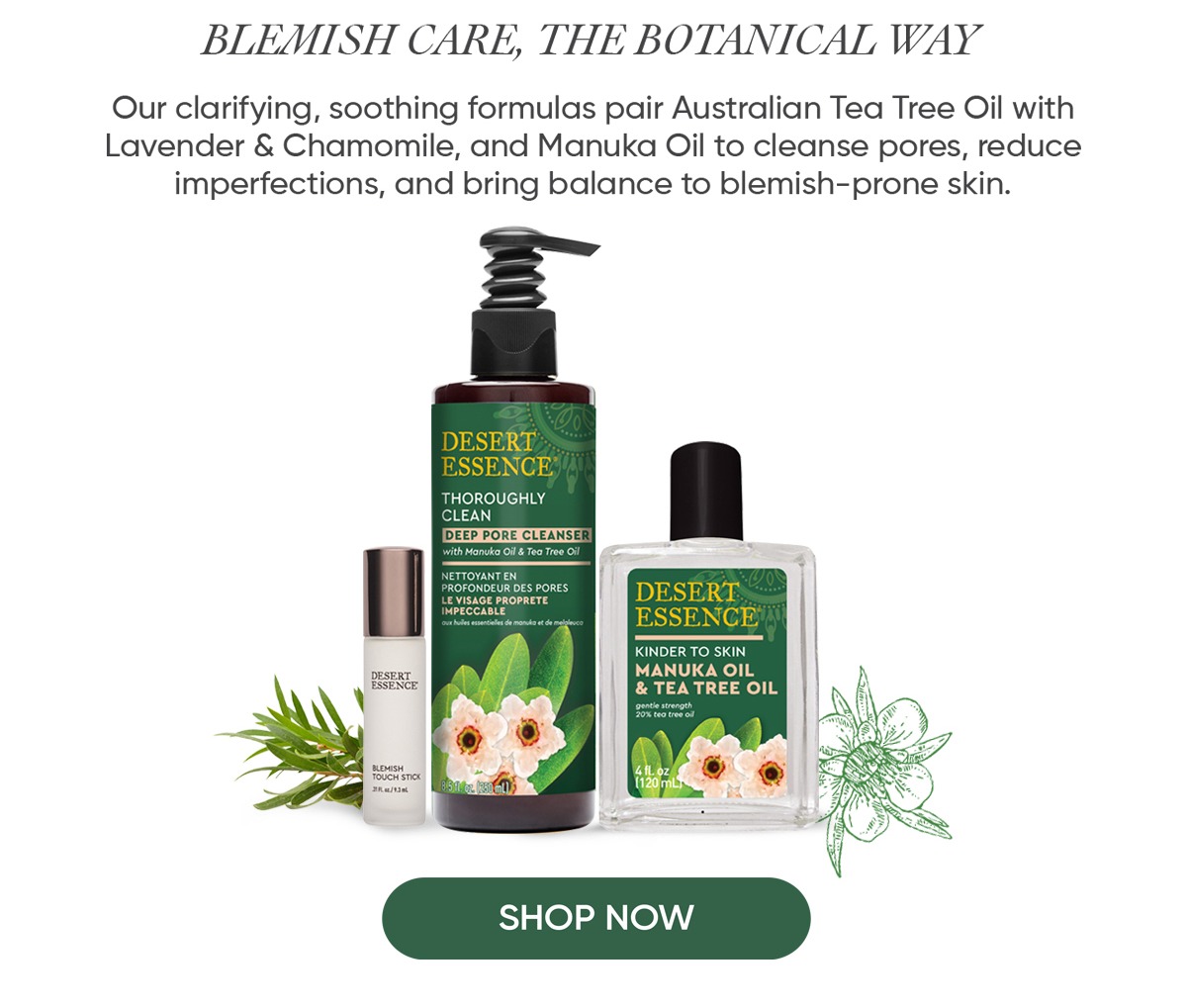 BLEMISH PRONE SKIN