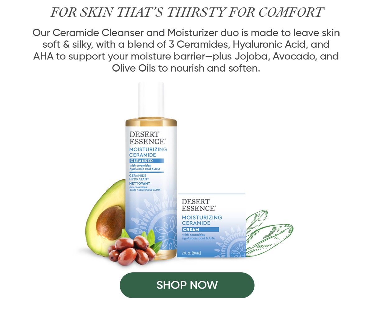 DRY SKIN