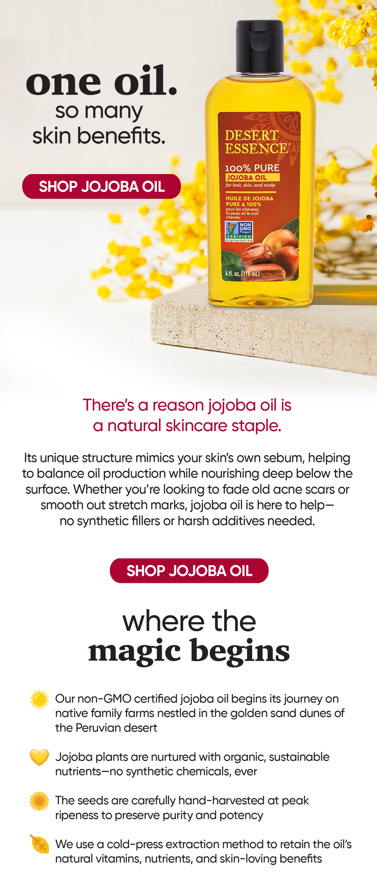 SHOP JOJOBA OIL