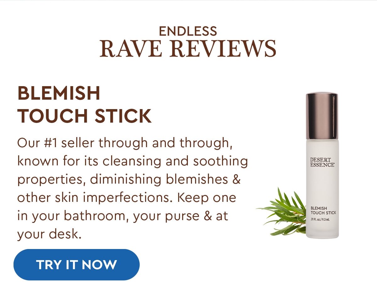 SHOP BLEMISH TOUCH STICK