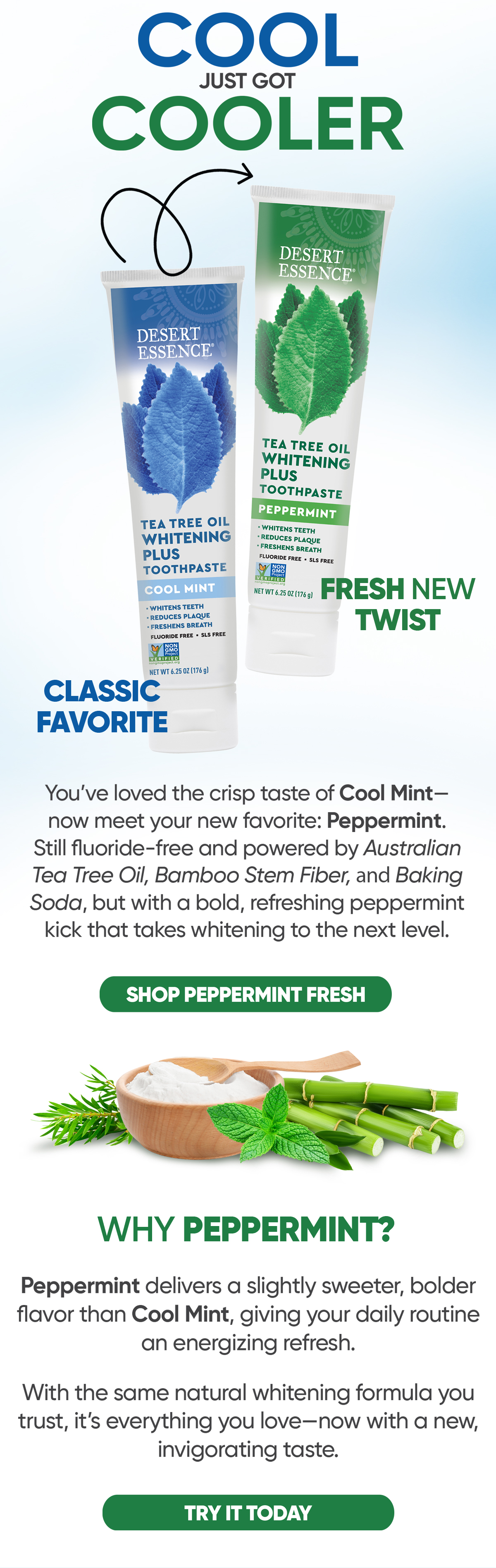 SHOP TEA TREE OIL WHITENING PLUS TOOTHPASTE - PEPPERMINT