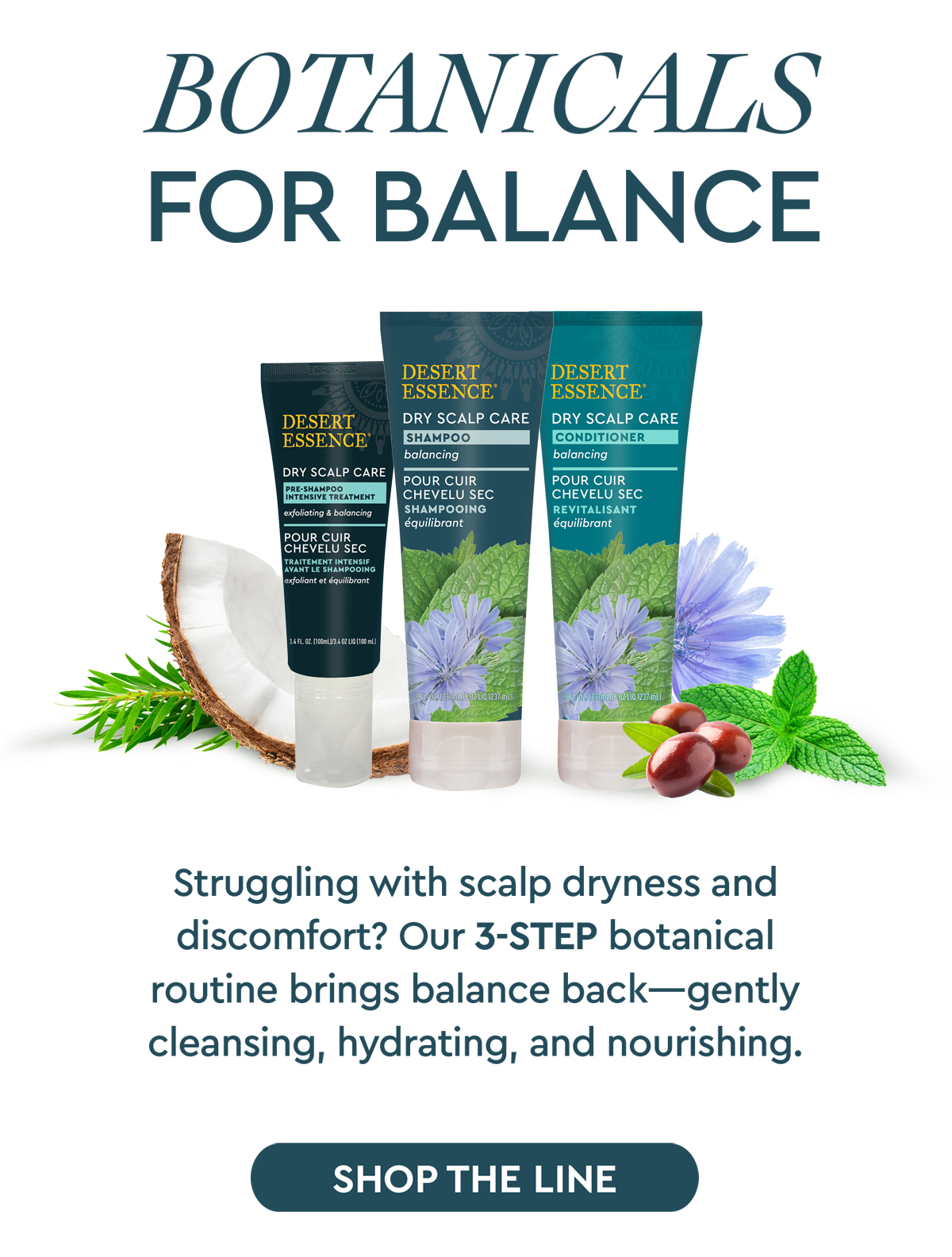 SHOP DRY SCALP CARE