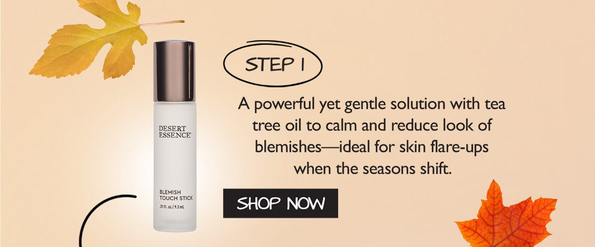 SHOP BLEMISH TOUCH STICK