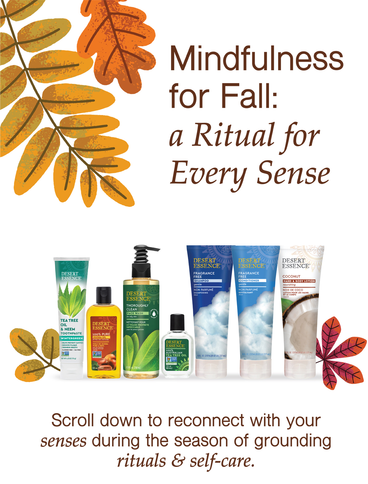 mindfullness for fall - shop desert essence