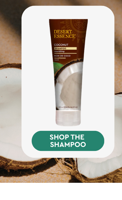 Coconut Shampoo