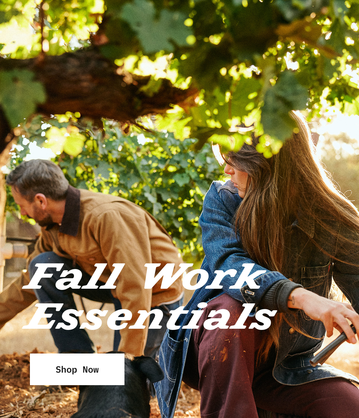 Fall Work Essentials. Shop Now.