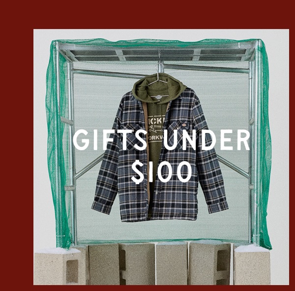 Shop Under $100