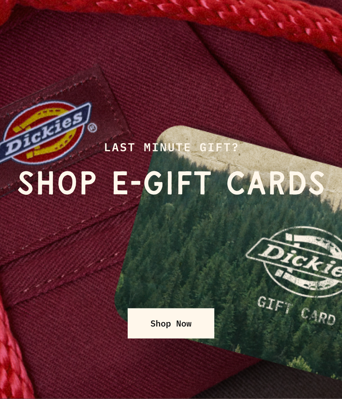Shop E-gift Cards. Shop Now.