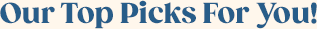 Our Top Picks For You: