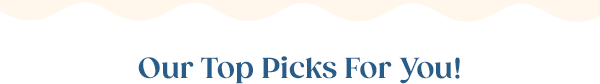 Our Top Picks For You!