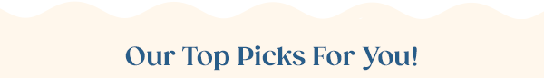Our Top Picks For You!