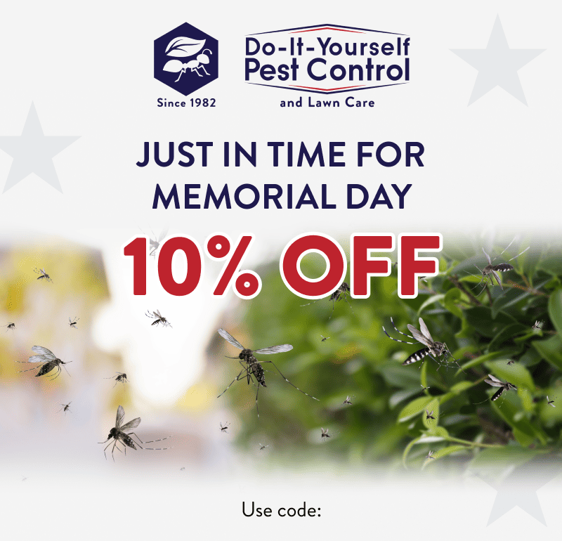 Just in Time for Memorial Day 10% Off  Use code: