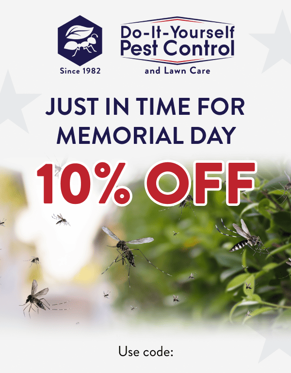 Just in Time for Memorial Day 10% Off Use code: