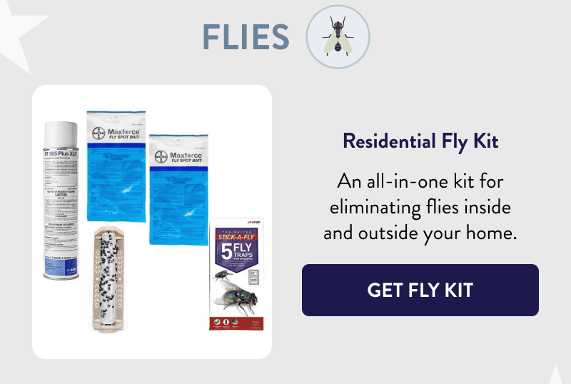 Flies  Residential Fly Kit  An all-in-one kit for eliminating flies inside and outside your home.  [GET FLY KIT]