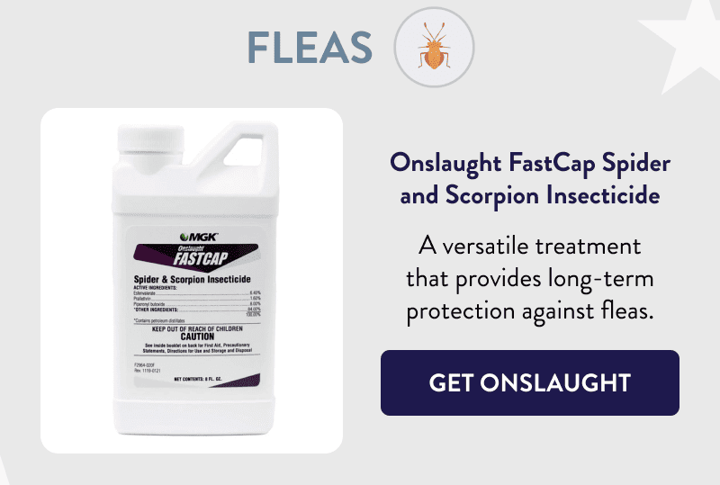 Fleas  Onslaught FastCap Spider and Scorpion Insecticide  A versatile treatment that provides long-term protection against fleas.  [GET ONSLAUGHT]