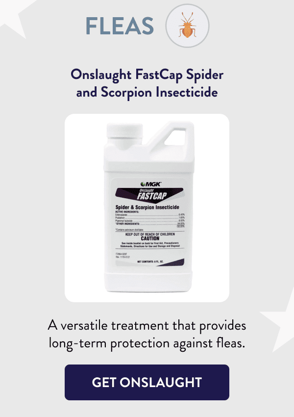 Fleas Onslaught FastCap Spider and Scorpion Insecticide A versatile treatment that provides long-term protection against fleas. [GET ONSLAUGHT]