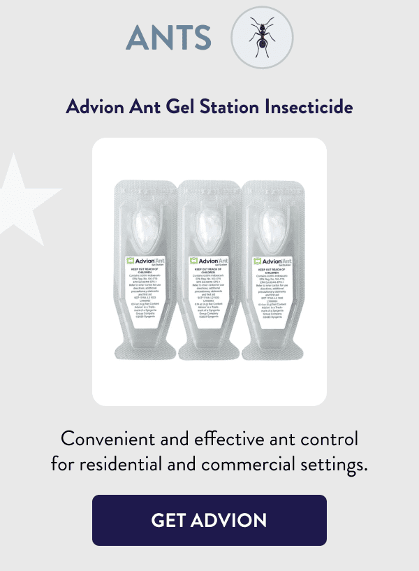 Ants Advion Ant Gel Station Insecticide Convenient and effective ant control for residential and commercial settings. [GET ADVION]