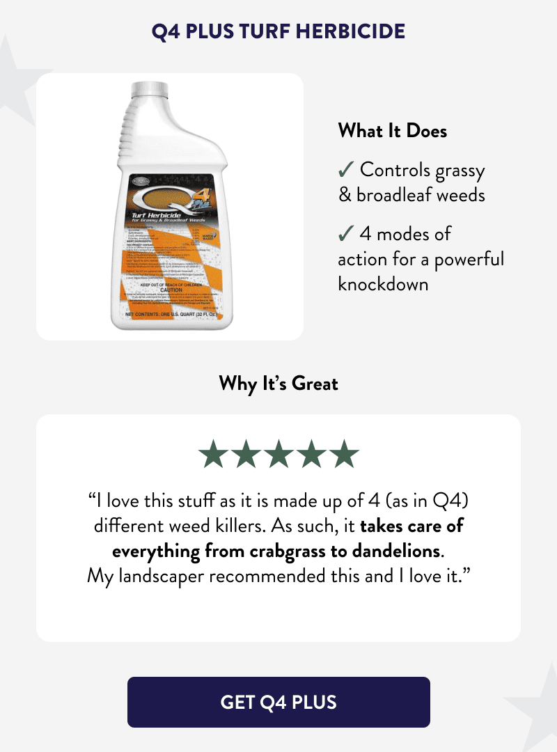Q4 Plus Turf Herbicide  What It Does  ✔ Controls grassy & broadleaf weeds ✔ 4 modes of action for a powerful knockdown  Why It’s Great  “I love this stuff as it is made up of 4 (as in Q4) different weed killers. As such, it takes care of everything from crabgrass to dandelions. My landscaper recommended this and I love it.”  [GET Q4 PLUS]