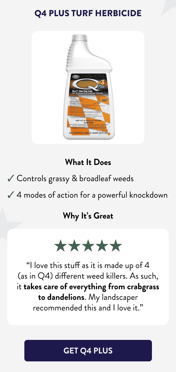 Q4 Plus Turf Herbicide What It Does ✔ Controls grassy & broadleaf weeds ✔ 4 modes of action for a powerful knockdown Why It’s Great “I love this stuff as it is made up of 4 (as in Q4) different weed killers. As such, it takes care of everything from crabgrass to dandelions. My landscaper recommended this and I love it.” [GET Q4 PLUS]