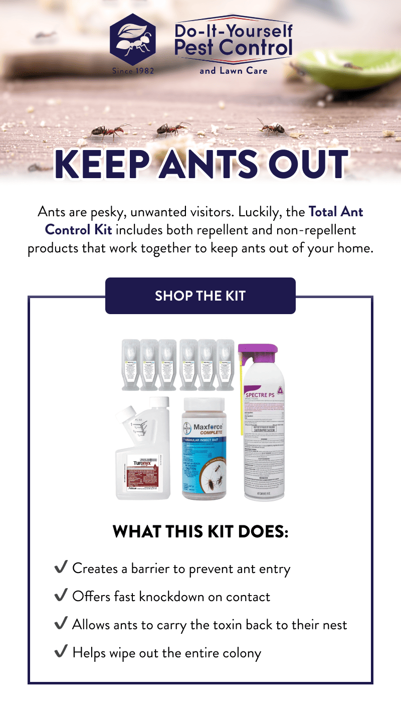 Keep Ants Out  Ants are pesky, unwanted visitors. Luckily, the Total Ant Control Kit includes both repellent and non-repellent products that work together to keep ants out of your home.  [SHOP THE KIT]  What This Kit Does:  - Creates a barrier to prevent ant entry - Offers fast knockdown on contact - Allows ants to carry the toxin back to their nest - Helps wipe out the entire colony