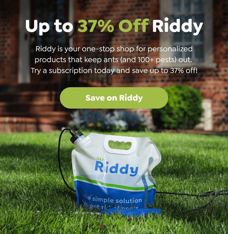 Up to 37% Off Riddy  Riddy is your one-stop shop for personalized products that keep ants (and 100+ pests) out.  Try a subscription today and save up to 37% off!  [Save on Riddy]