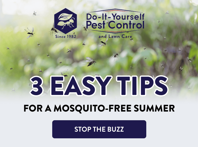 3 Easy Tips  For a Mosquito-Free Summer  [STOP THE BUZZ]