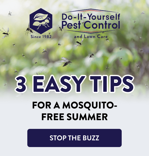 3 Easy Tips For a Mosquito-Free Summer [STOP THE BUZZ]