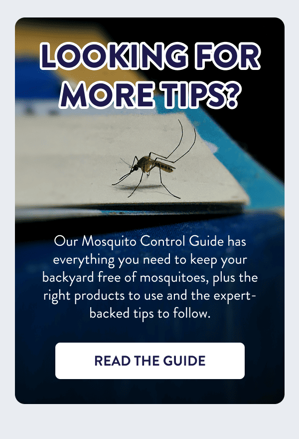 Looking for More Tips? Our Mosquito Control Guide has everything you need to keep your backyard free of mosquitoes, plus the right products to use and the expert-backed tips to follow. [READ THE GUIDE]
