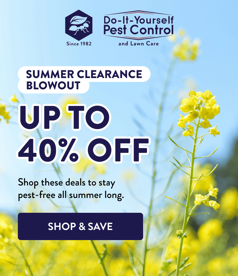 Summer Clearance Blowout  Up to 40% Off  Shop these deals to stay pest-free all summer long.  [SHOP & SAVE]