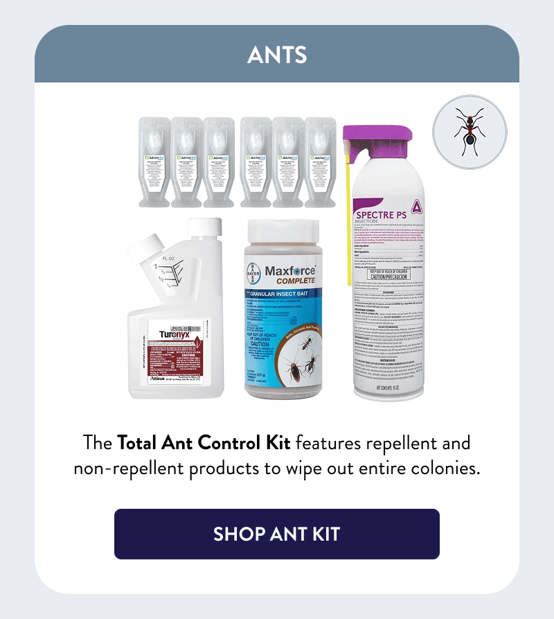 Ants  The Total Ant Control Kit features repellent and non-repellent products to wipe out entire colonies.  [SHOP ANT KIT]