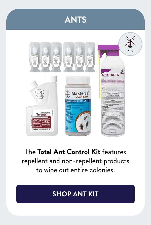 Ants The Total Ant Control Kit features repellent and non-repellent products to wipe out entire colonies. [SHOP ANT KIT]