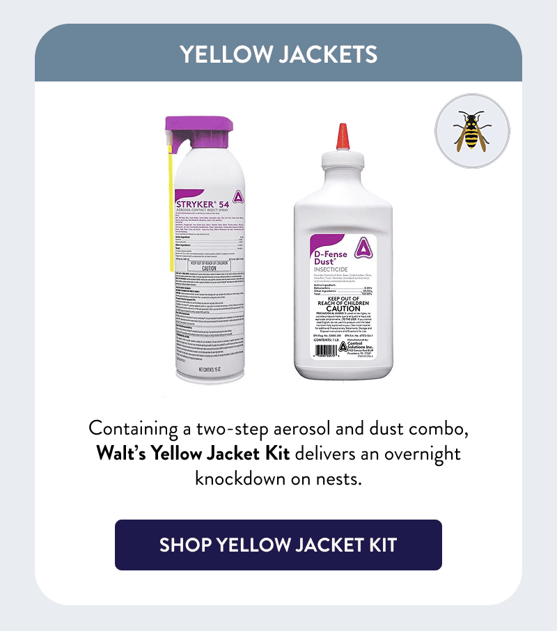 Yellow Jackets  Containing a two-step aerosol and dust combo, Walt’s Yellow Jacket Kit delivers an overnight knockdown on nests.  [SHOP YELLOW JACKET KIT]