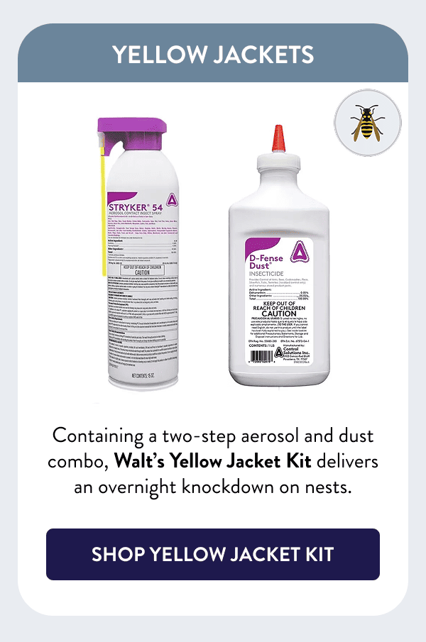 Yellow Jackets Containing a two-step aerosol and dust combo, Walt’s Yellow Jacket Kit delivers an overnight knockdown on nests. [SHOP YELLOW JACKET KIT]