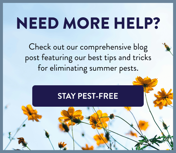 Need More Help? Check out our comprehensive blog post featuring our best tips and tricks for eliminating summer pests. [STAY PEST-FREE]