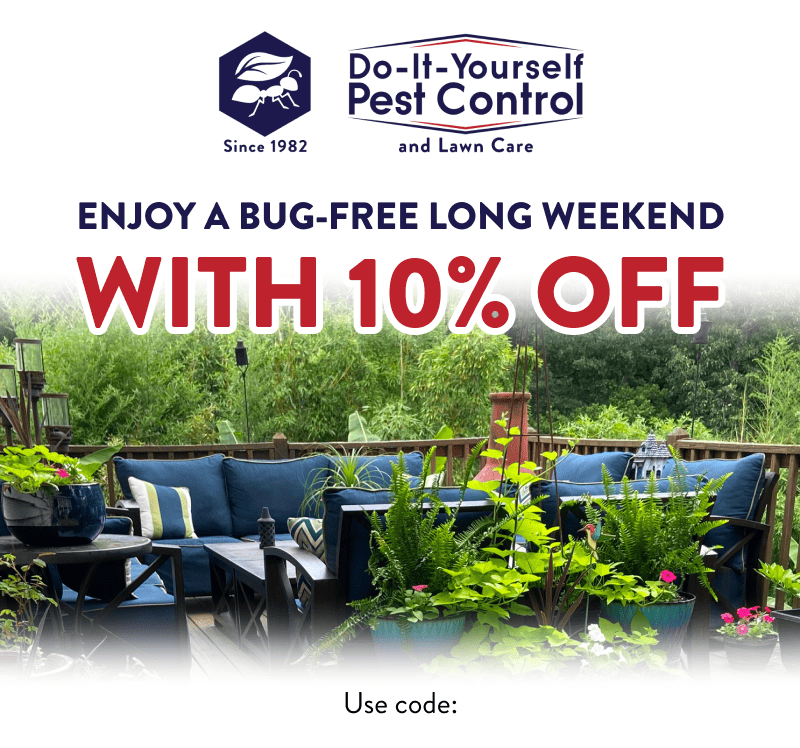 Enjoy a Bug-Free Long Weekend With 10% Off  Use code: