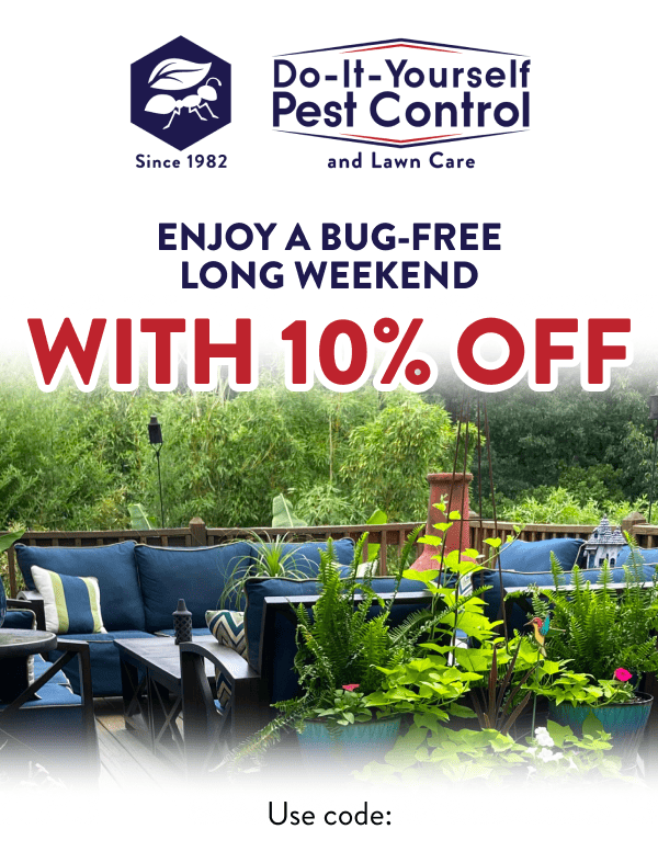 Enjoy a Bug-Free Long Weekend With 10% Off Use code: