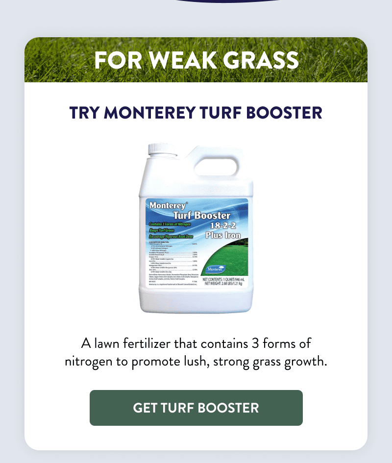 For Weak Grass  Try Monterey Turf Booster  A lawn fertilizer that contains 3 forms of nitrogen to promote lush, strong grass growth.  [GET TURF BOOSTER]