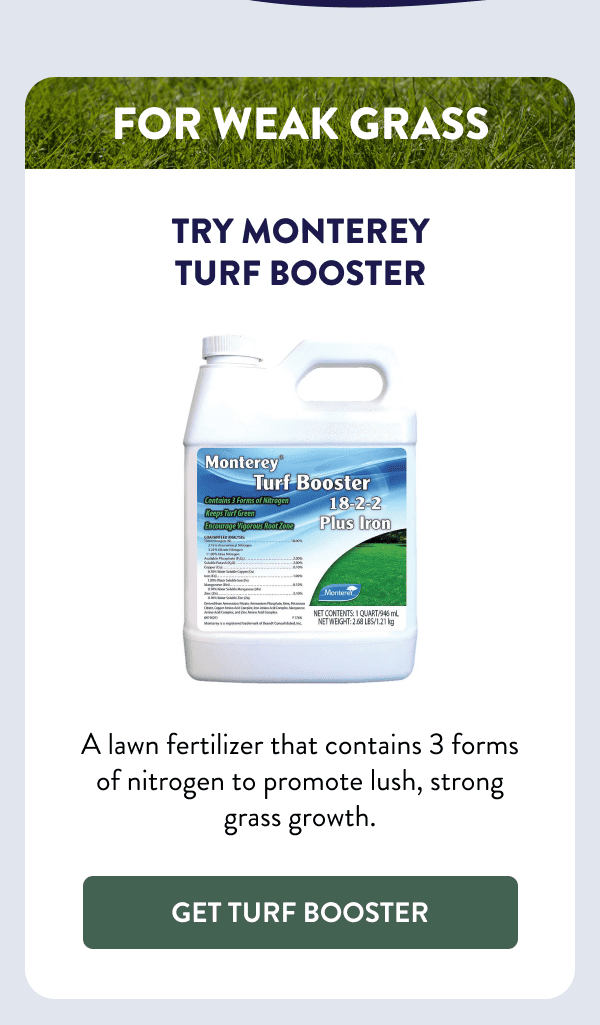 For Weak Grass Try Monterey Turf Booster A lawn fertilizer that contains 3 forms of nitrogen to promote lush, strong grass growth. [GET TURF BOOSTER]
