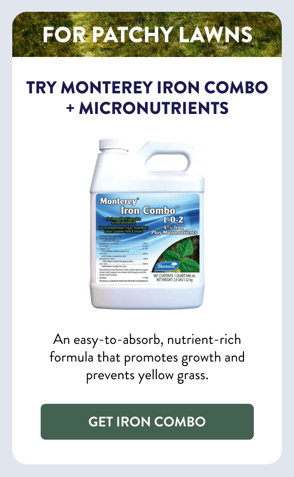 For Patchy Lawns Try Monterey Iron Combo + Micronutrients An easy-to-absorb, nutrient-rich formula that promotes growth and prevents yellow grass. [GET IRON COMBO]