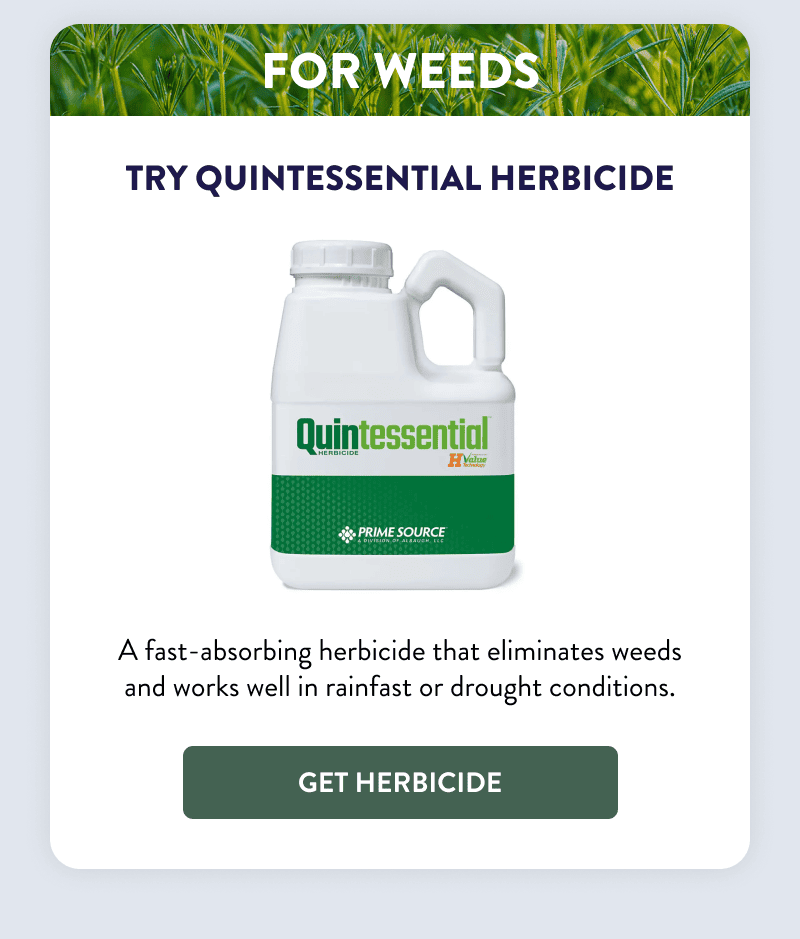 For Weeds  Try Quintessential Herbicide  A fast-absorbing herbicide that eliminates weeds and works well in rainfast or drought conditions.  [GET HERBICIDE]