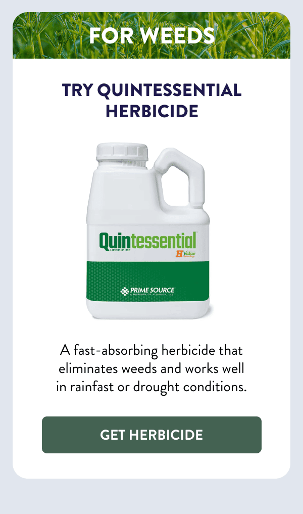 For Weeds Try Quintessential Herbicide A fast-absorbing herbicide that eliminates weeds and works well in rainfast or drought conditions. [GET HERBICIDE]
