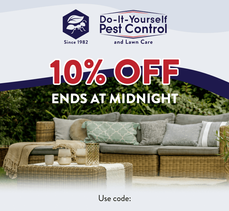 10% Off Ends at Midnight  Use Code: