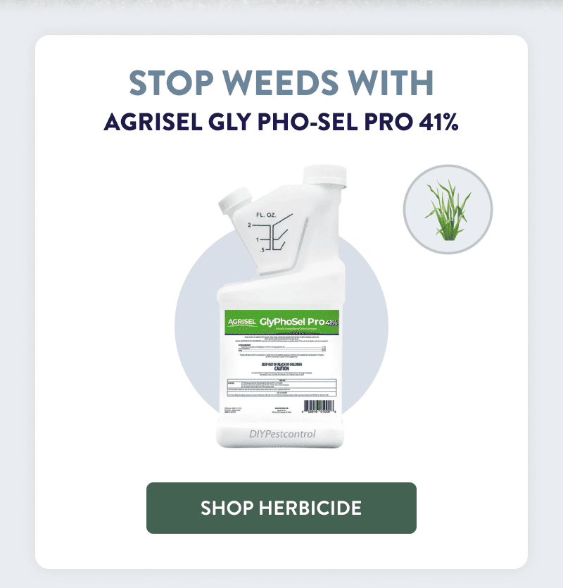 Stop Weeds With Agrisel Gly Pho-Sel Pro 41%  [SHOP HERBICIDE]