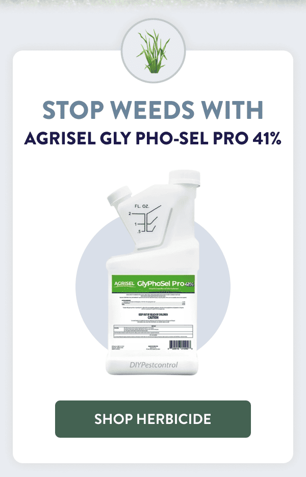 Stop Weeds With Agrisel Gly Pho-Sel Pro 41% [SHOP HERBICIDE]