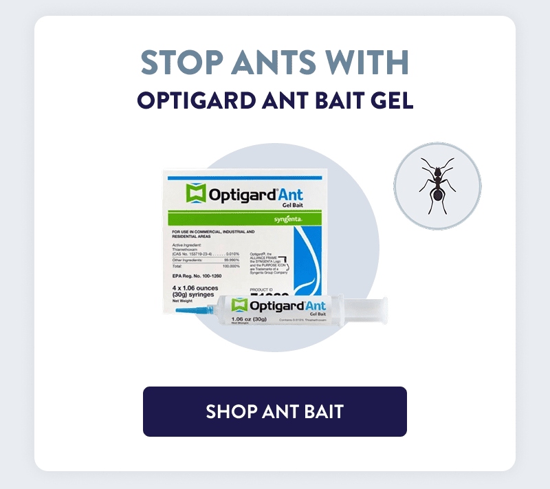 Stop Ants With Optigard Ant Bait Gel  [SHOP ANT BAIT]