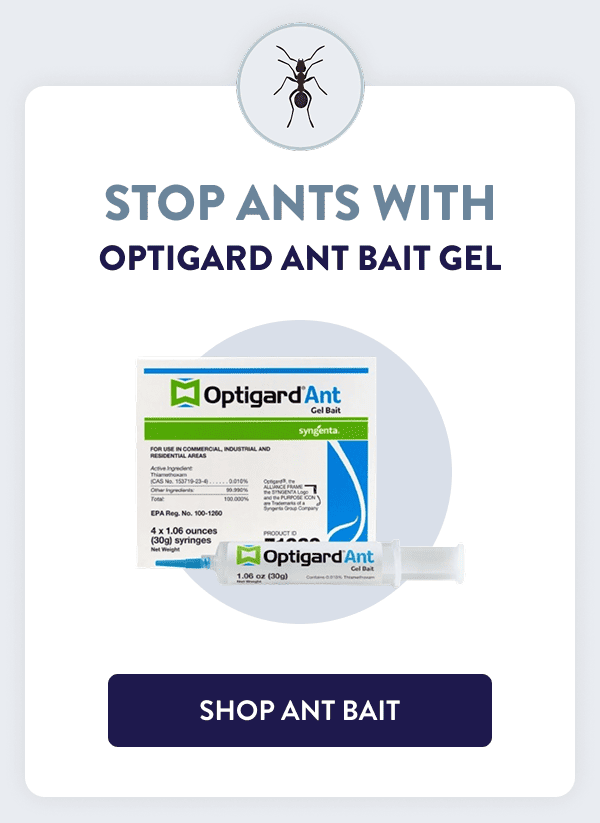 Stop Ants With Optigard Ant Bait Gel [SHOP ANT BAIT]