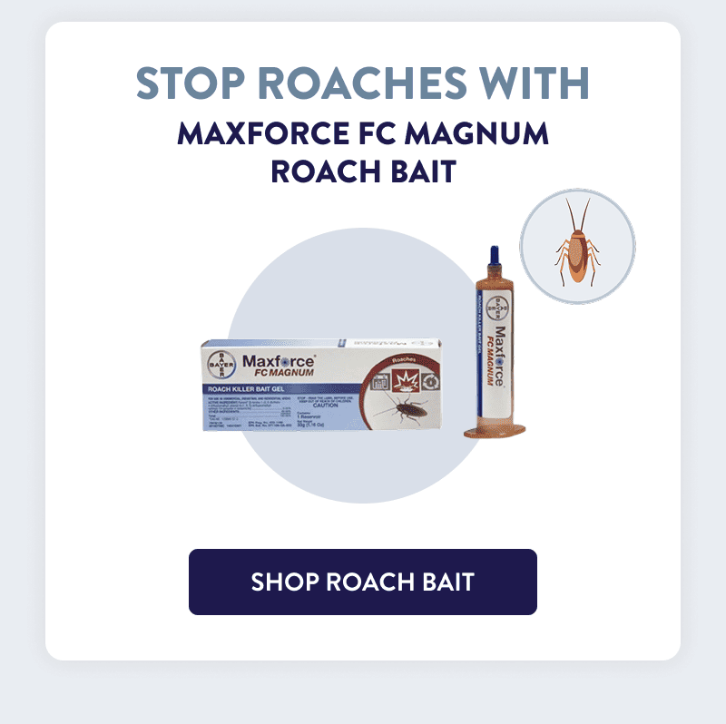 Stop Roaches With Maxforce FC Magnum Roach Bait [SHOP ROACH BAIT]