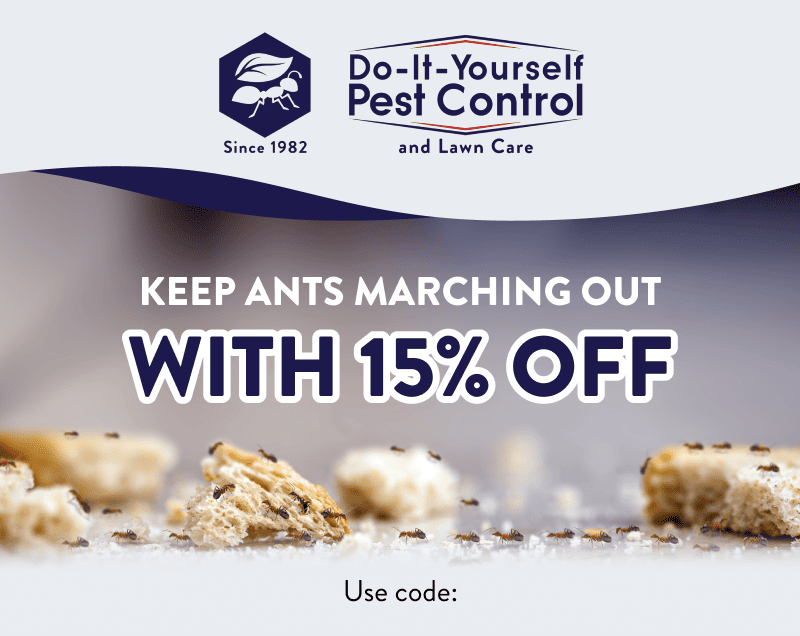 Keep Ants Marching Out With 15% Off  Use code: